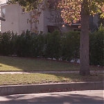Filename=SJBR01238.jpg
Filesize=592KiB
Dimensions=1920x804
Date added=Oct 05, 2021 SJBR01238.jpg
